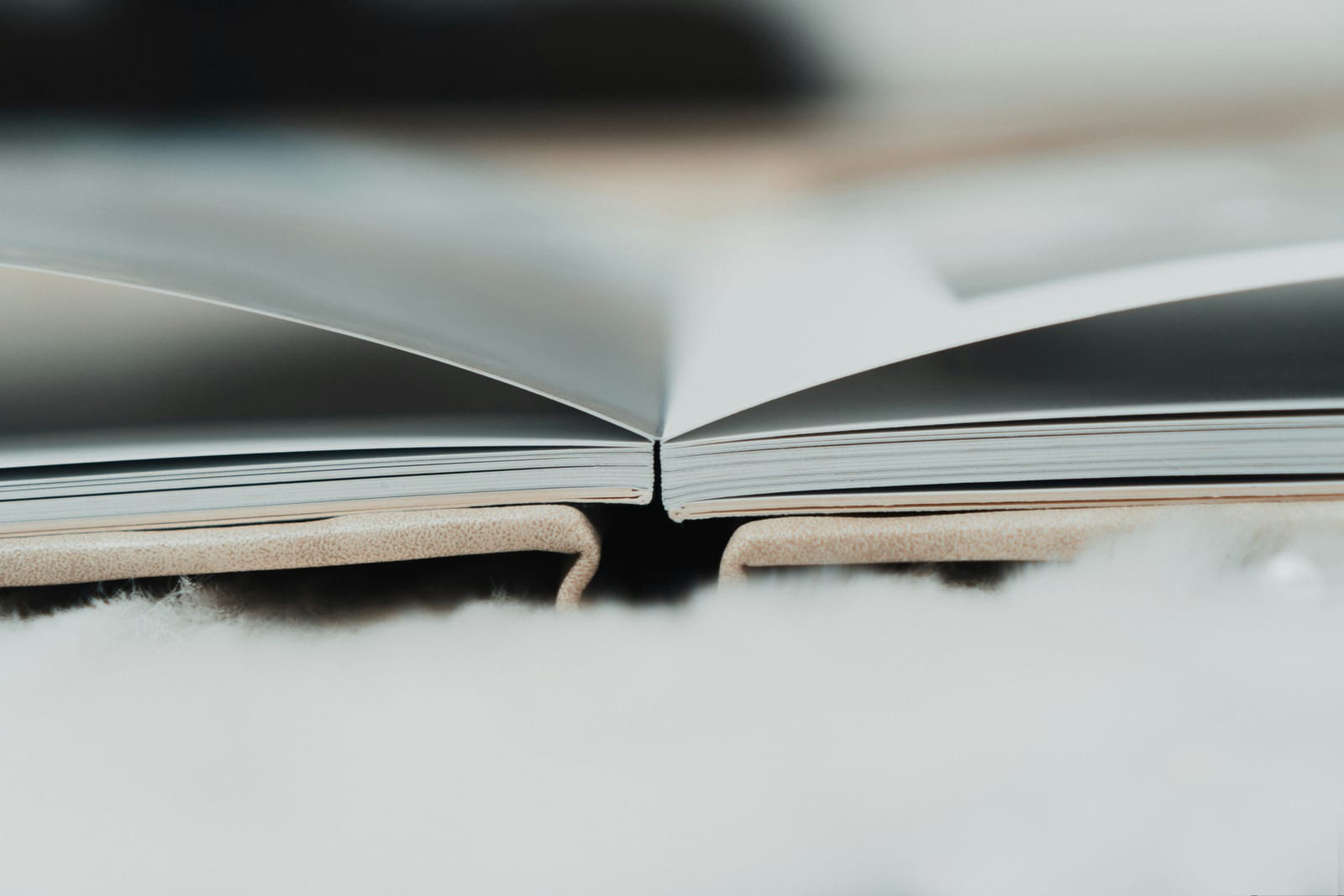 Vorschaubild für den Blogbeitrag "Auswahl der Top-Bilder für Ihr Hochzeitsalbum"